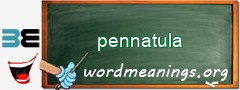 WordMeaning blackboard for pennatula